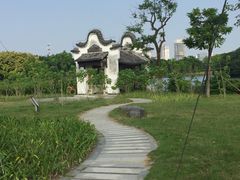 -海珠湖公园