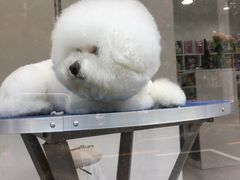 -华侨城东方花园会所