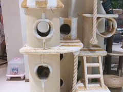 -藏猫猫咖啡主题馆(中央大道店)