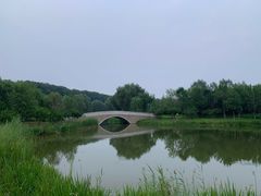 -东郊湿地公园