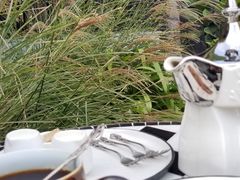 -太湖湖滨国家湿地公园-停车场
