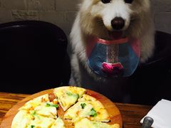 -百好乐宠物友好餐厅(朝外大街店)