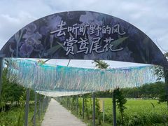-上海长兴岛郊野公园