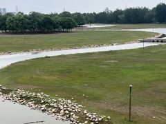 -北京麋鹿生态实验中心