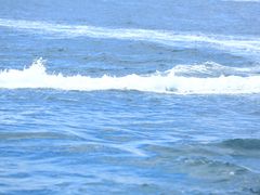 -蜈支洲岛珊瑚酒店临海阁中餐厅