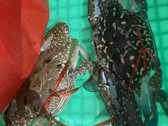 -花乐餐厅(涠洲岛店)