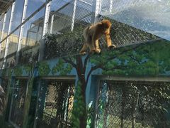 -西安秦岭野生动物园