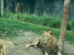 -北京野生动物园