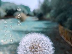 -上海辰山植物园