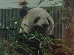 -上海动物园(地铁站)