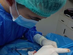 -博特宠物医院24h犬猫全科.骨科·异宠