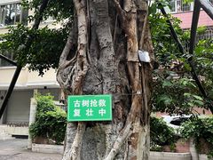 -珠江夜游西堤码头