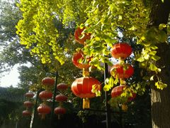 -南来顺饭庄·清真(南菜园店)