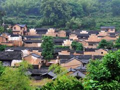 -杨家堂村