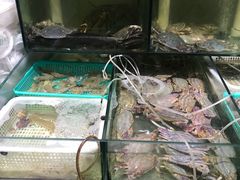 -胖子饺子馆·海鲜家常菜(海军博物馆店)