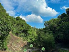 -广州白江湖森林公园