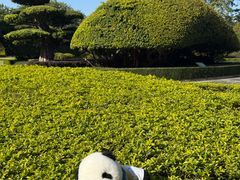 -南宁南湖公园