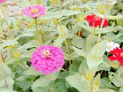 -上方山森林动物世界