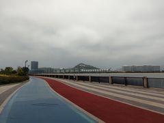 -星光岛