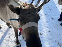 -长春世界雕塑园冰雪艺术天地