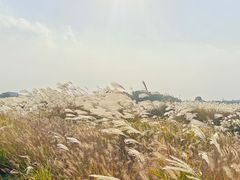 -良渚古城遗址公园