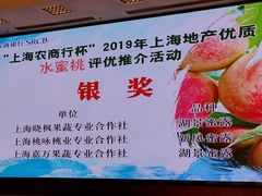 -西郊国际农产品交易中心