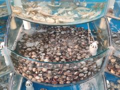 -仙螺岛海鲜自助餐厅(总店)