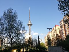 -龙塔