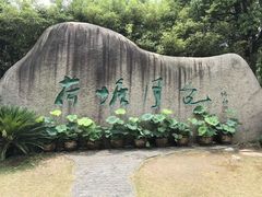 -荷塘月色湿地公园·向阳花洲