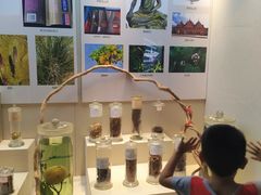 -广东中医药博物馆