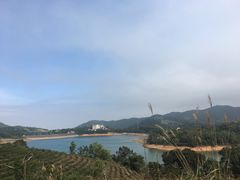 -东部华侨城