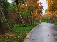 -昆山城市生态森林公园