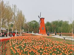 -廊坊文化艺术中心