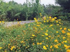 -白鹭湾湿地公园