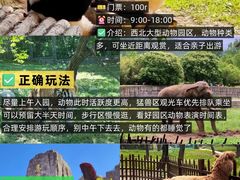 -大雁塔北广场音乐喷泉