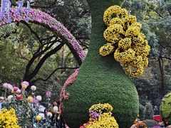 -杭州植物园
