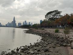 -深圳湾公园(南山区)