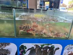 -聚鲜阁海鲜美食城(香水湾店)