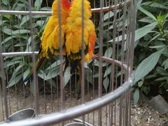 -南宫五洲植物乐园