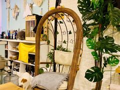 -平行世界·猫咖(首经贸店)