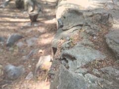 -云龙山