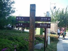 -白马涧龙池景区