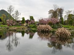 -贵阳市花溪国家城市湿地公园