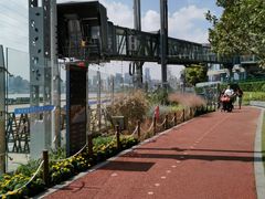 -北外滩滨江绿地