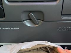 -新加坡航空公司(ION)