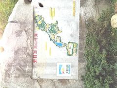 -镇江市南山风景名胜区竹林景区