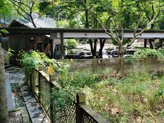 -天怡·鱼工厂(梅溪湖店)