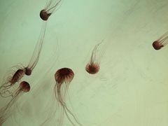 -沈阳海洋探索中心