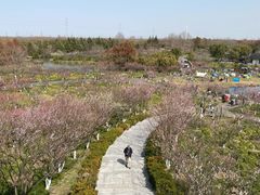 -上海海湾国家森林公园