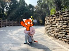 -云岗森林公园